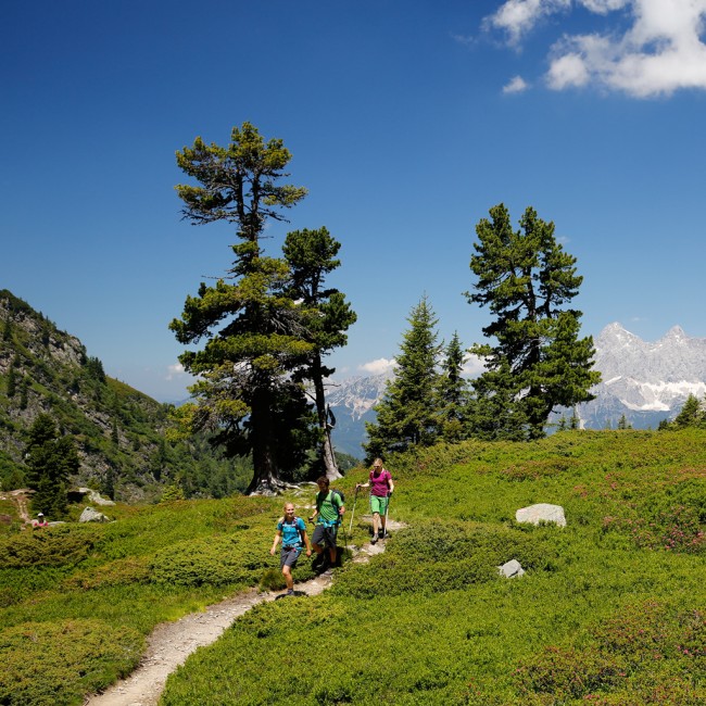 Familie beim Wandern in Ramsau © schladming-dachstein_raffalt